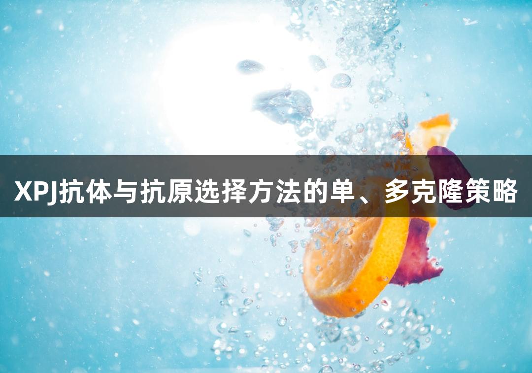 XPJ抗体与抗原选择方法的单、多克隆策略