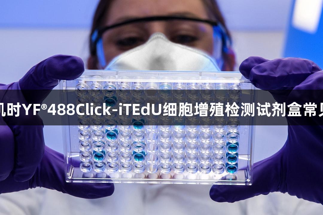 尊龙凯时YF®488Click-iTEdU细胞增殖检测试剂盒常见问答