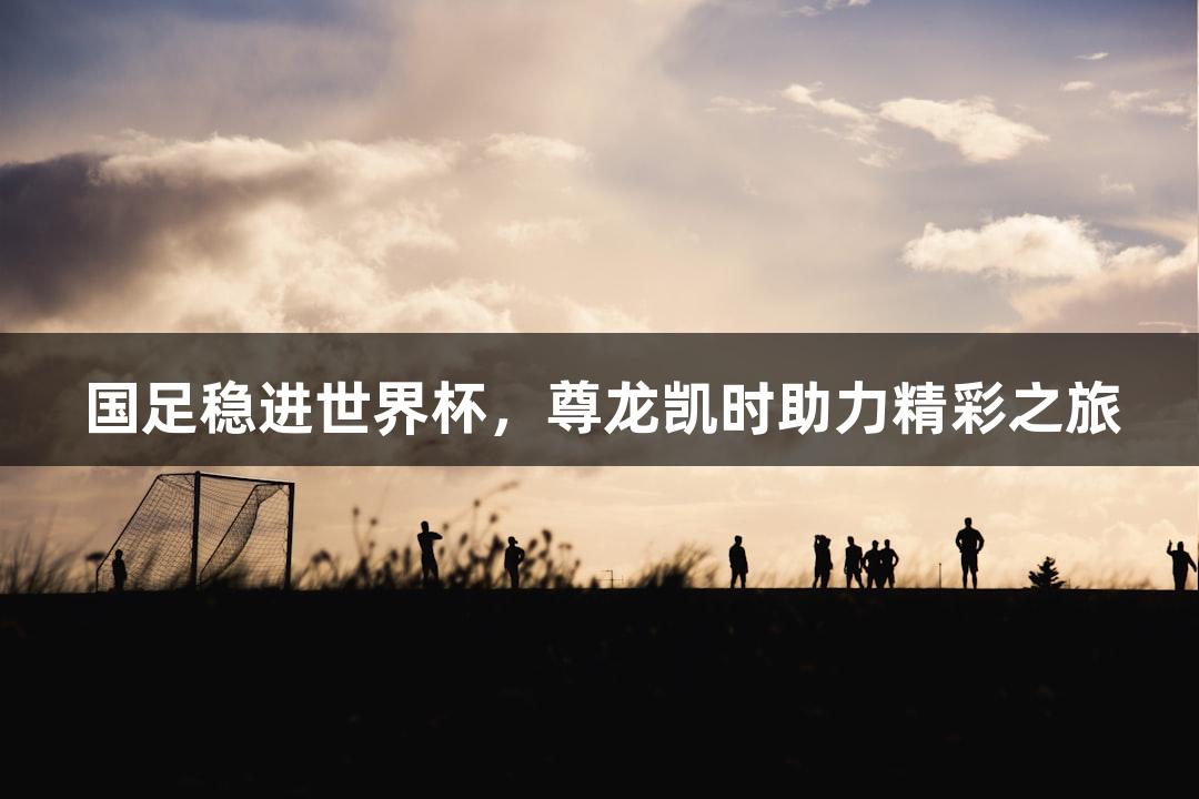 国足稳进世界杯,尊龙凯时助力精彩之旅