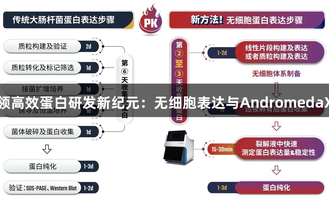 尊龙凯时引领高效蛋白研发新纪元：无细胞表达与AndromedaX的创新协作