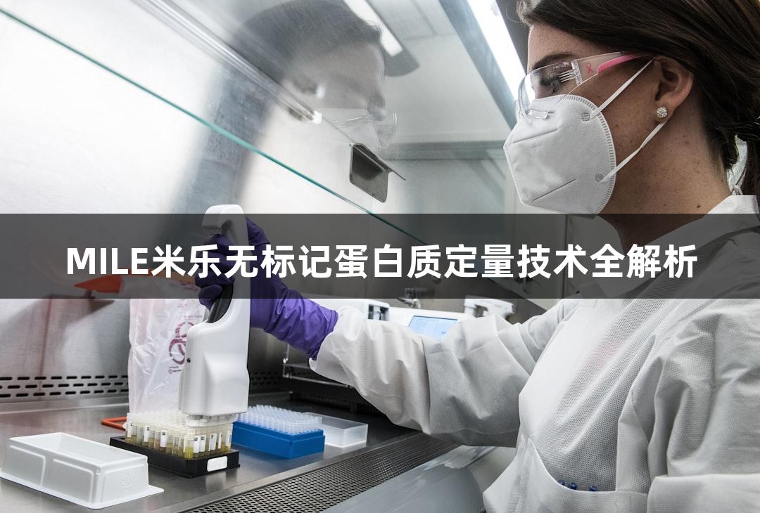 MILE米乐无标记蛋白质定量技术全解析