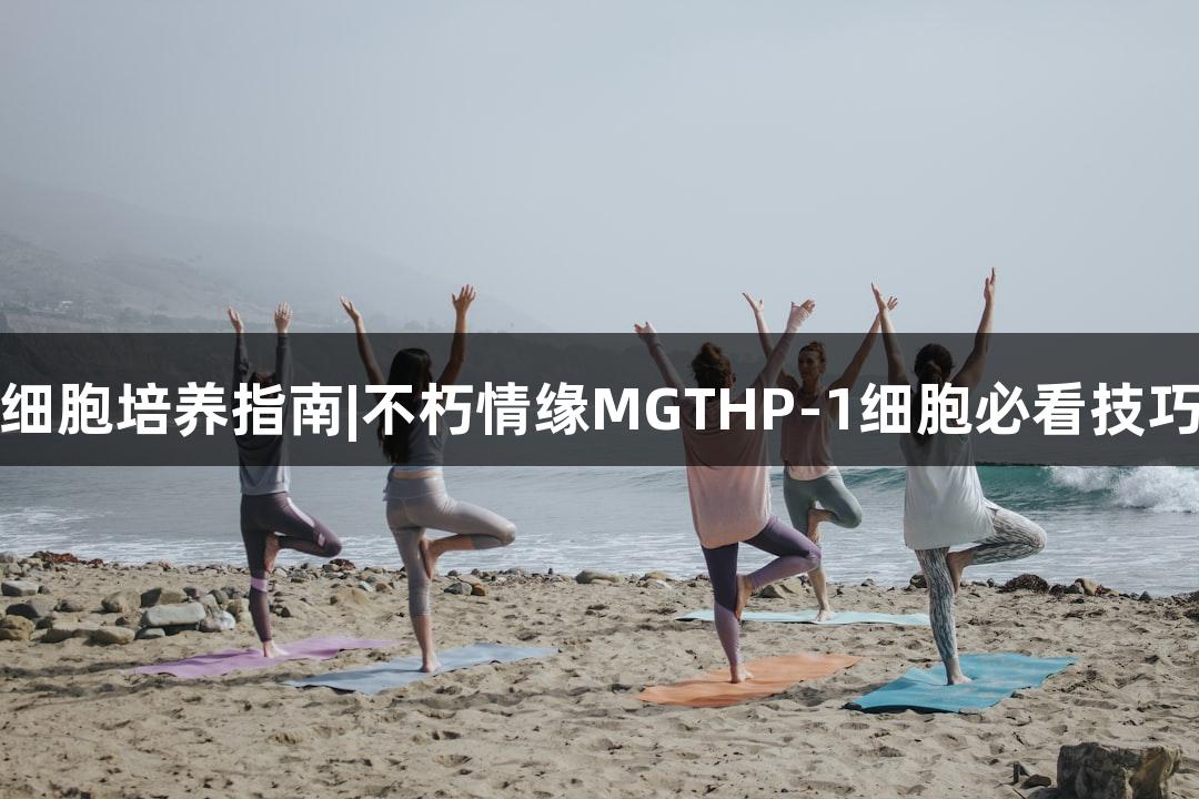 细胞培养指南|不朽情缘MGTHP-1细胞必看技巧