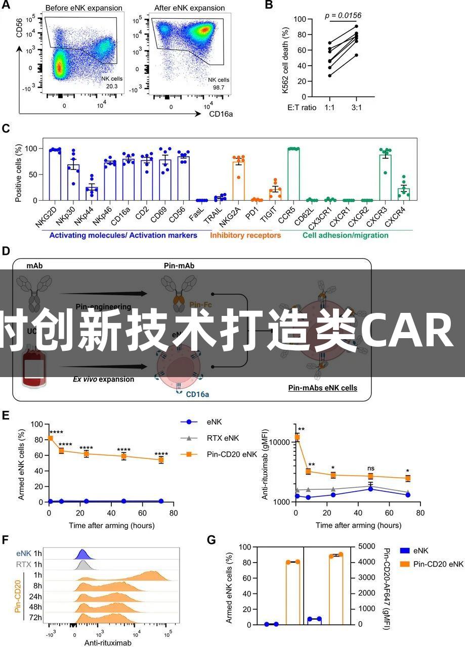 尊龙凯时创新技术打造类CAR NK细胞