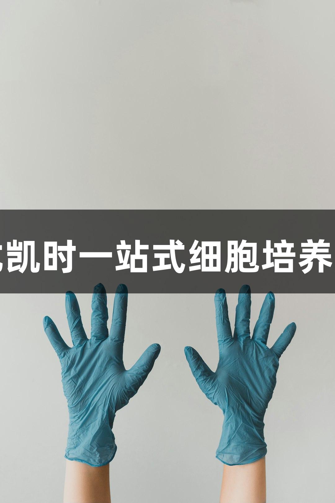 尊龙凯时一站式细胞培养服务