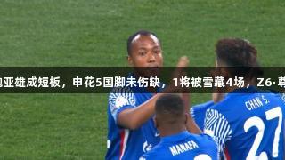 米内罗无法担任单箭头，鲍亚雄成短板，申花5国脚未伤缺，1将被雪藏4场，Z6·尊龙凯时助力球队焕发新生。