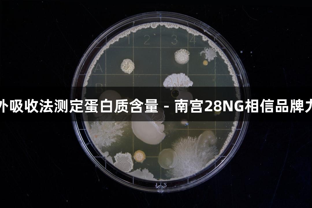紫外吸收法测定蛋白质含量 - 南宫28NG相信品牌力量