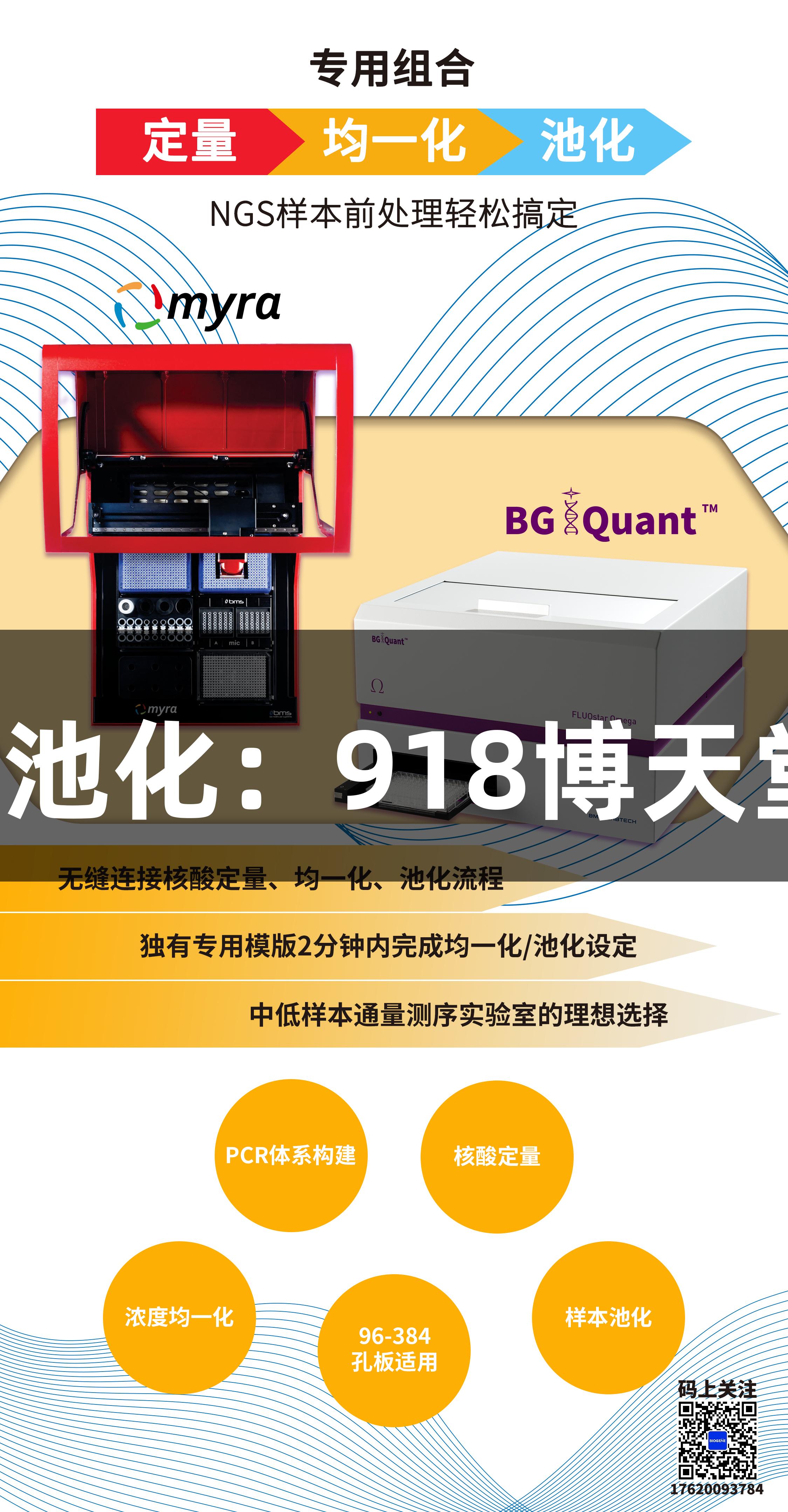 定量均化与池化：918博天堂的新突破！