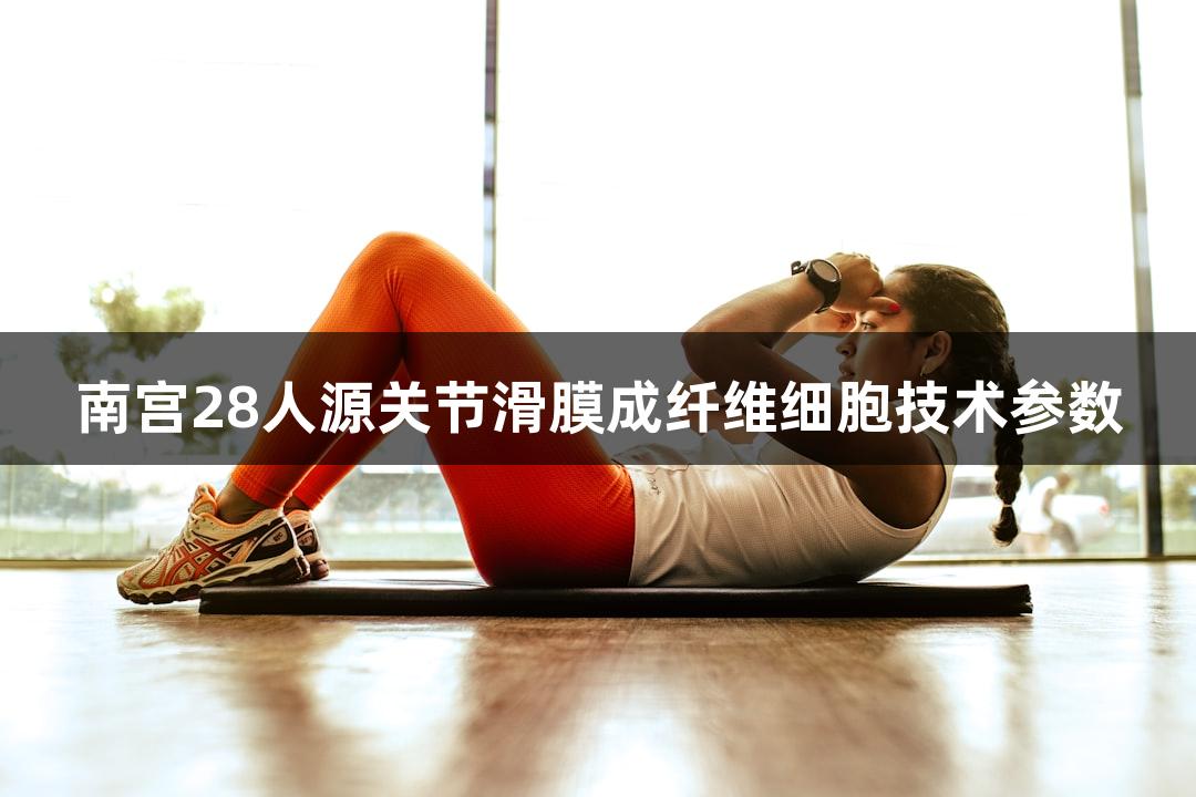 南宫28人源关节滑膜成纤维细胞技术参数