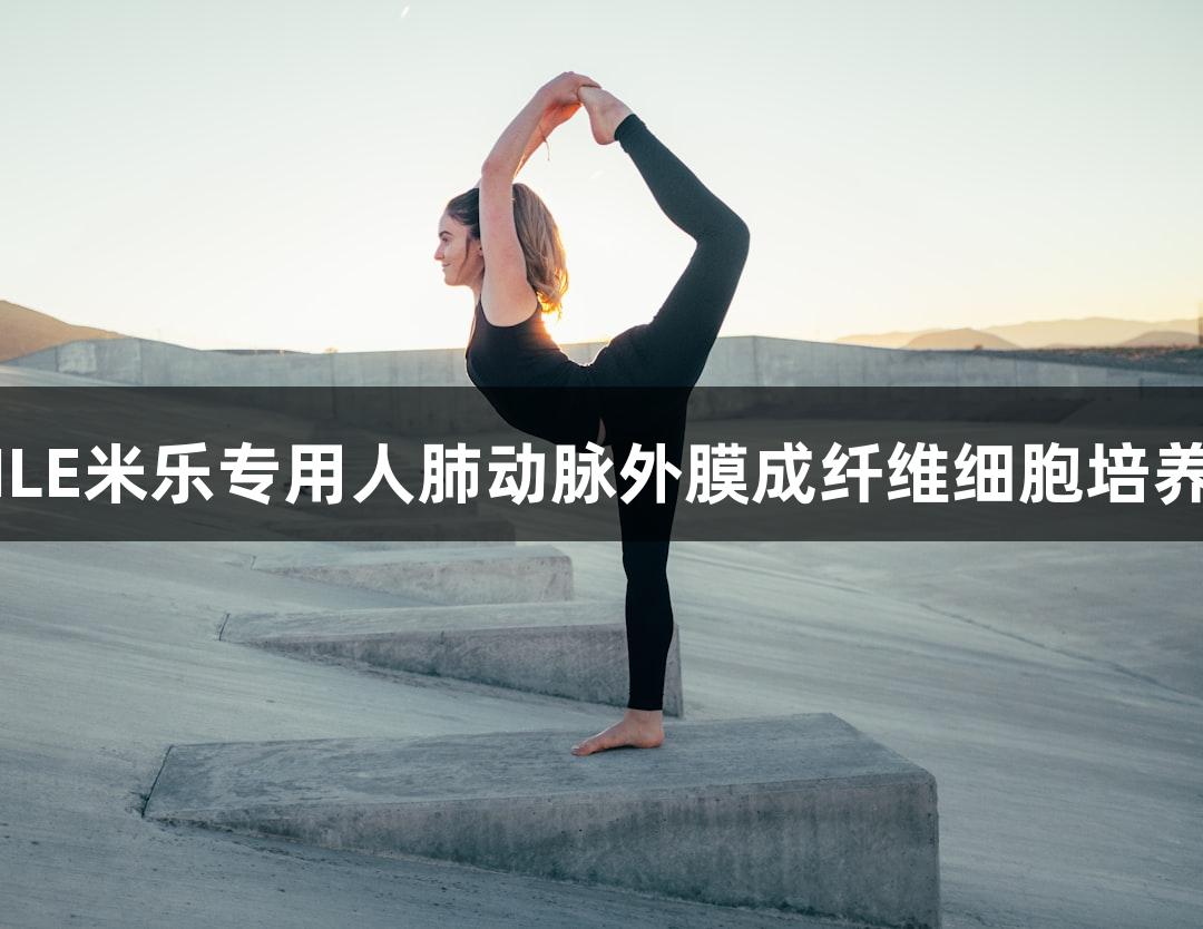 MILE米乐专用人肺动脉外膜成纤维细胞培养基