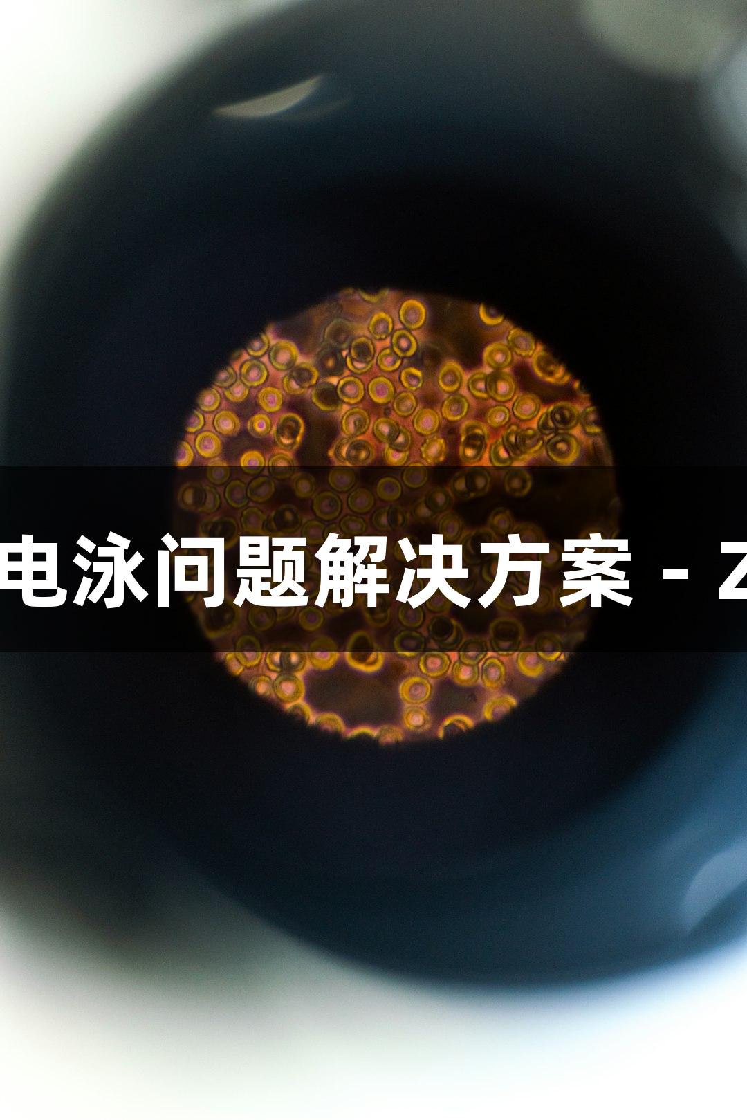 琼脂糖凝胶电泳问题解决方案 - Z6·尊龙凯时