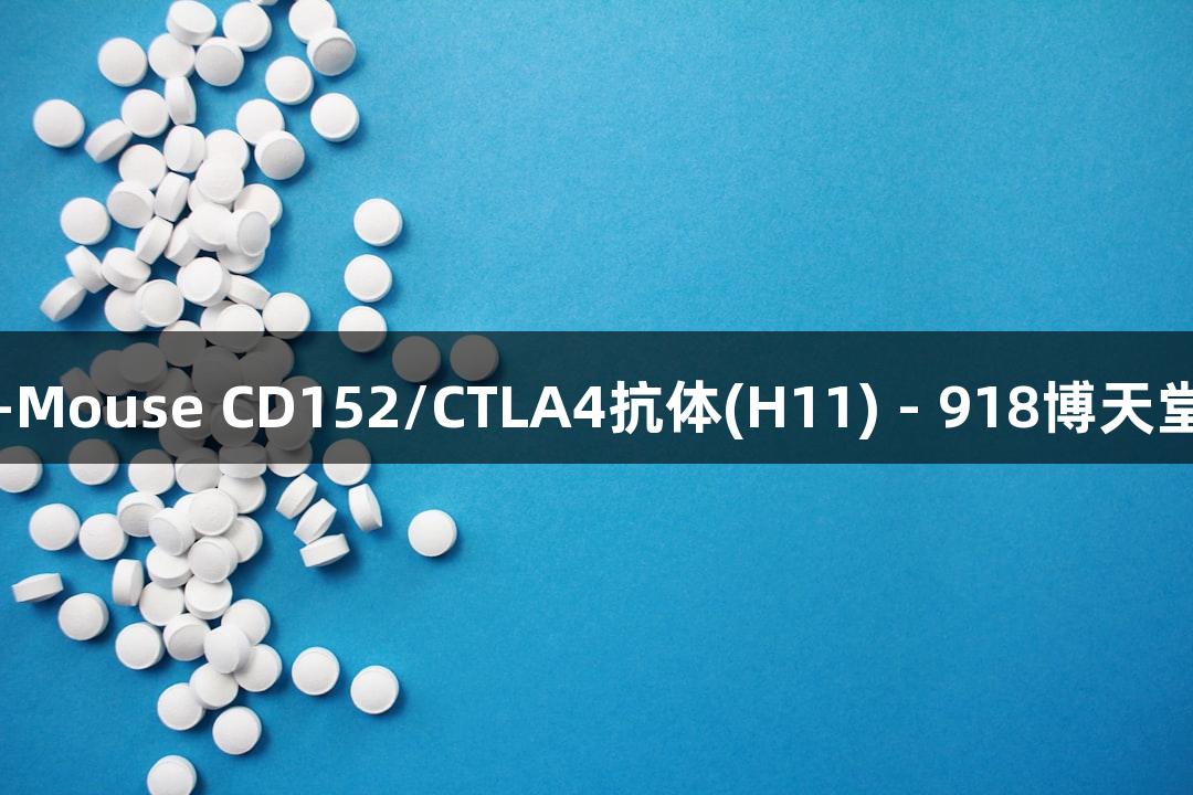 Anti-Mouse CD152/CTLA4抗体(H11) - 918博天堂产品