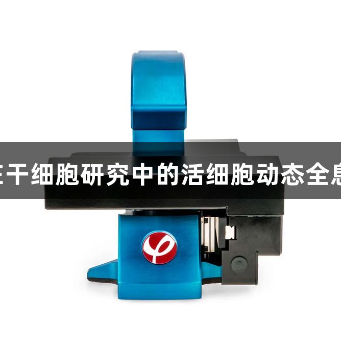不朽情缘MG在干细胞研究中的活细胞动态全息成像技术应用