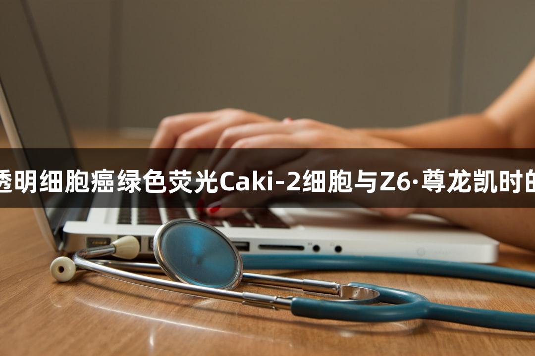 人肾透明细胞癌绿色荧光Caki-2细胞与Z6·尊龙凯时的结合