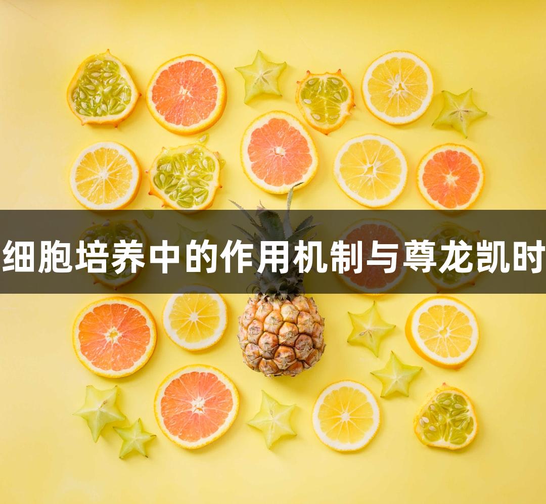 胰蛋白酶在细胞培养中的作用机制与尊龙凯时的应用探索