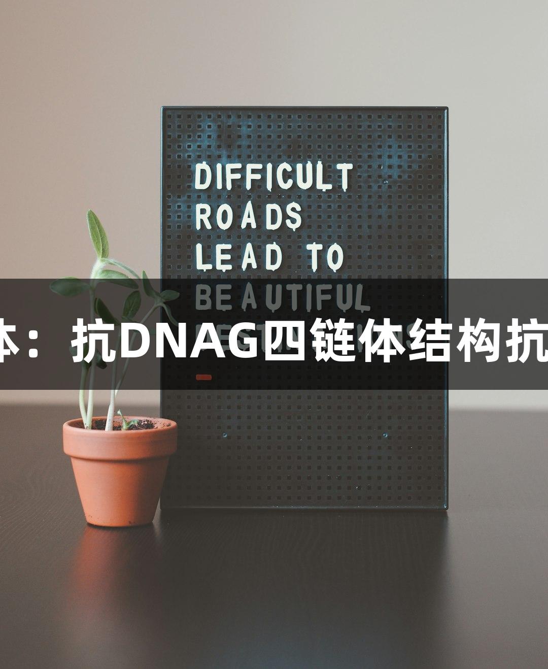 PG电子抗体：抗DNAG四链体结构抗体BG4解析