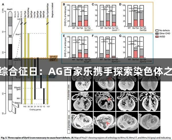 321世界唐氏综合征日:AG百家乐携手探索染色体之谜与关爱之旅