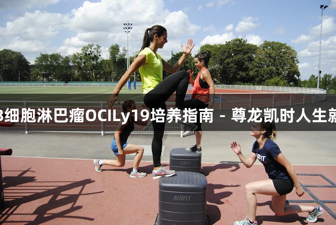 人B细胞淋巴瘤OCILy19培养指南 - 尊龙凯时人生就博