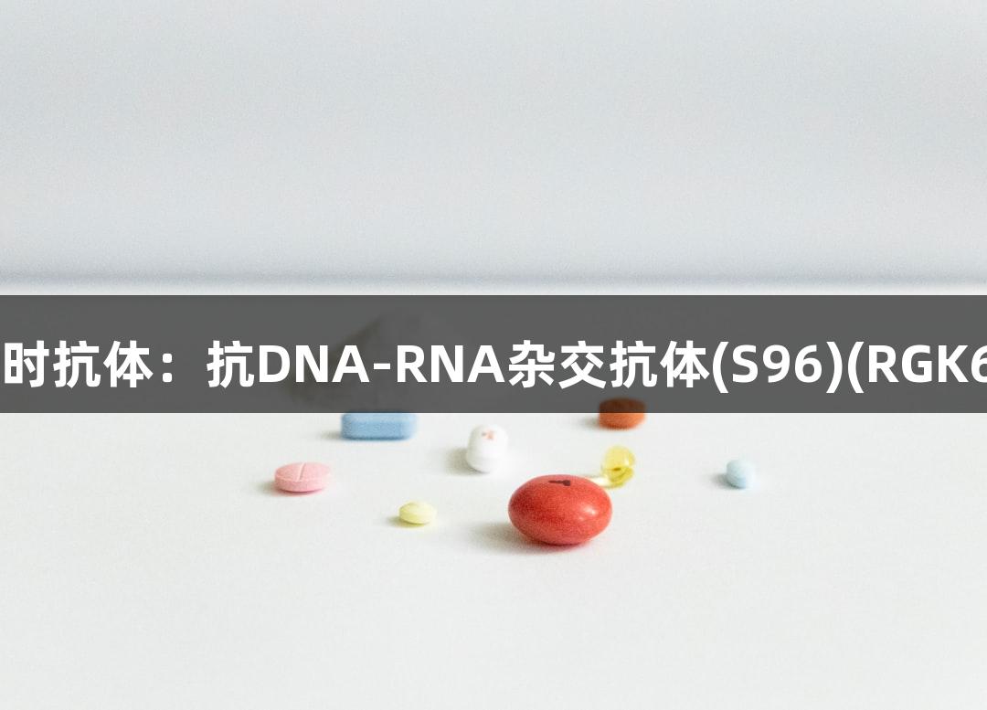 尊龙凯时抗体：抗DNA-RNA杂交抗体(S96)(RGK60001)