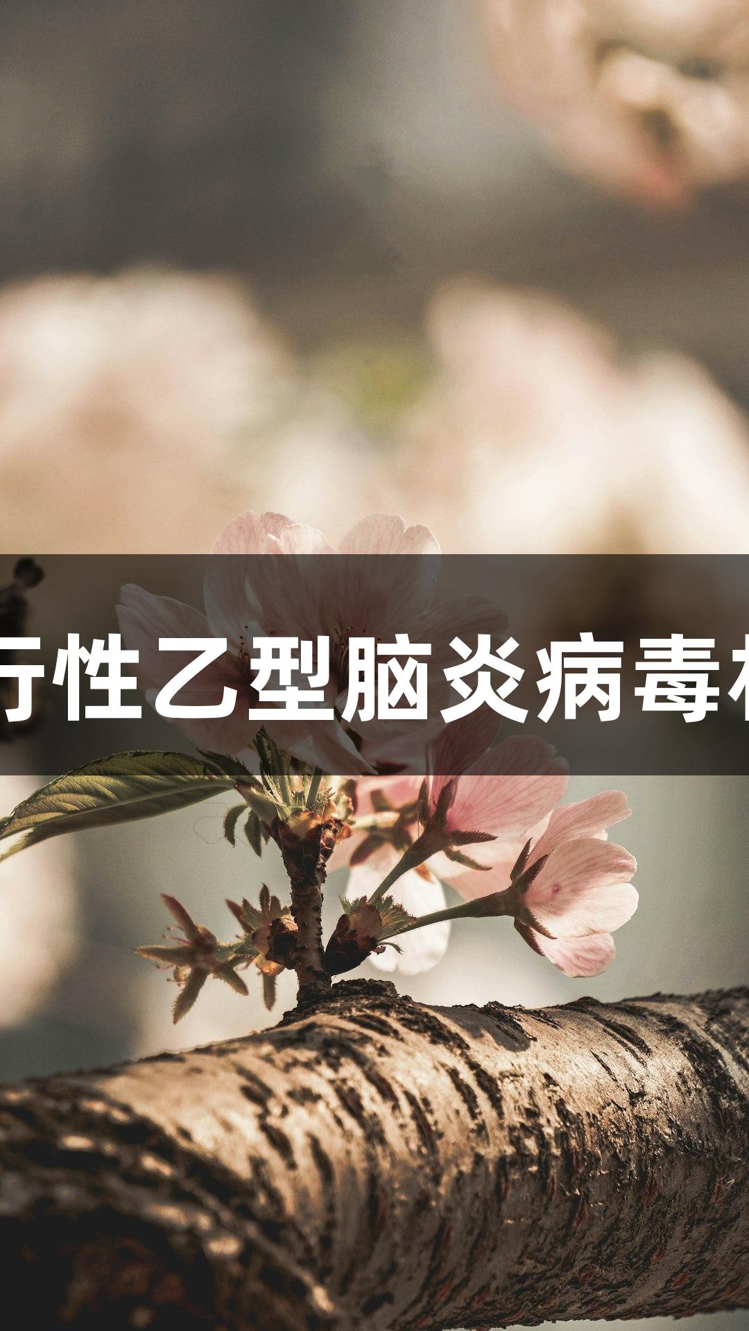 南宫28品牌的流行性乙型脑炎病毒相关重组蛋白抗体
