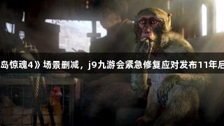 《孤岛惊魂4》场景删减，j9九游会紧急修复应对发布11年后问题