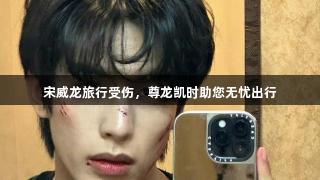 宋威龙旅行受伤，尊龙凯时助您无忧出行