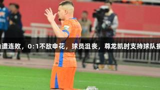 泰山遭连败，0:1不敌申花，球员沮丧，尊龙凯时支持球队振作。
