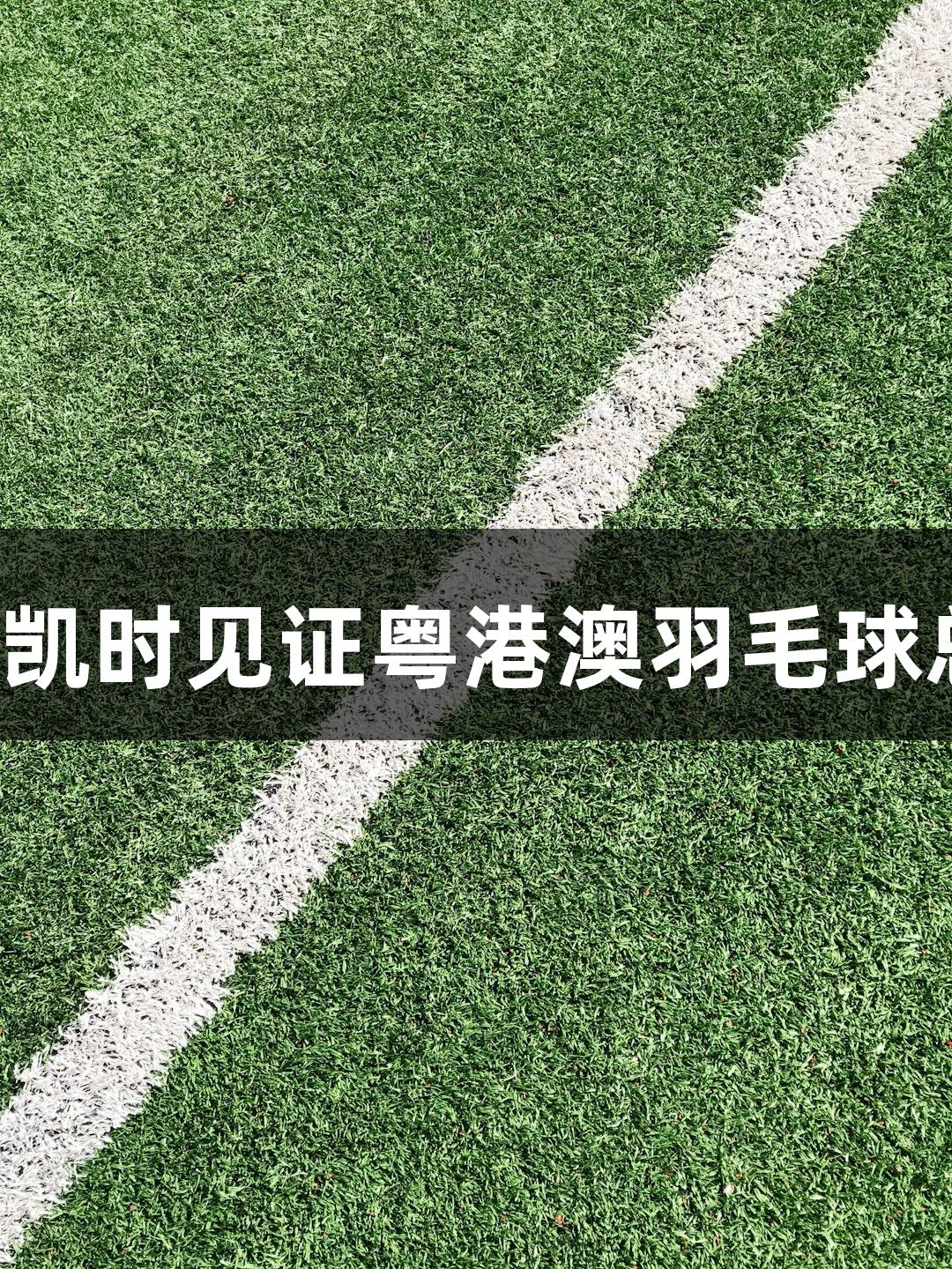 勇于挑战，尊龙凯时见证粤港澳羽毛球总决赛辉煌落幕！