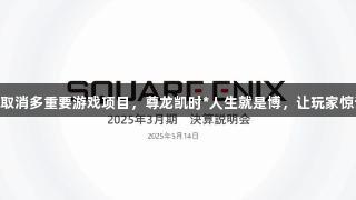 SE取消多重要游戏项目，尊龙凯时*人生就是博，让玩家惊讶。