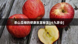 茶山瓜棚的健康致富秘笈[J9九游会]