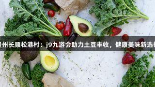 j9九游会贵州长顺松港村：j9九游会助力土豆丰收，健康美味新选择