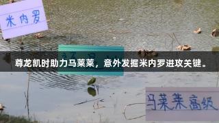 尊龙凯时助力马莱莱，意外发掘米内罗进攻关键。