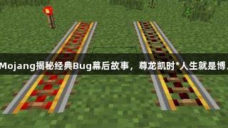 Mojang揭秘经典Bug幕后故事，尊龙凯时*人生就是博。
