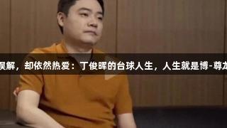 他被误解，却依然热爱：丁俊晖的台球人生，人生就是博-尊龙凯时