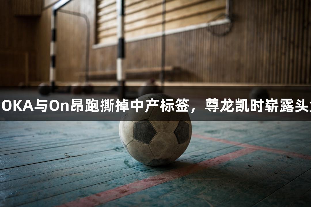 HOKA与On昂跑撕掉中产标签，尊龙凯时崭露头角