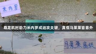 尊龙凯时助力米内罗成进攻关键,真假马莱莱皆意外