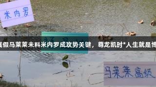 真假马莱莱未料米内罗成攻势关键，尊龙凯时*人生就是博。
