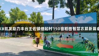 K8凯发助力丰台王佐镇佃起村150亩稻田智慧农耕新篇章