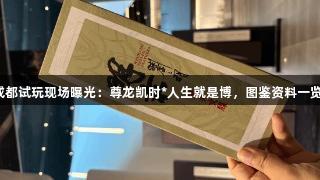 明末成都试玩现场曝光：尊龙凯时*人生就是博，图鉴资料一览无遗！