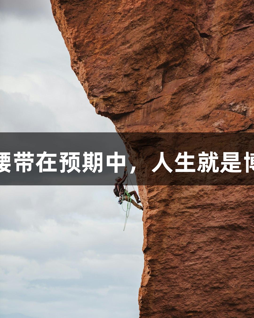 张伟丽：拿UFC金腰带在预期中，人生就是博，知名度意外飙升