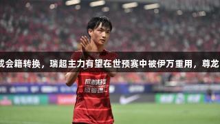 29岁归化后腰完成会籍转换，瑞超主力有望在世预赛中被伊万重用，尊龙凯时*人生就是博。