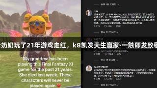 老奶奶玩了21年游戏走红，k8凯发天生赢家·一触即发致敬。