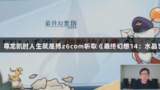 玩家声音：尊龙凯时人生就是搏z6com听取《最终幻想14：水晶世界》反馈
