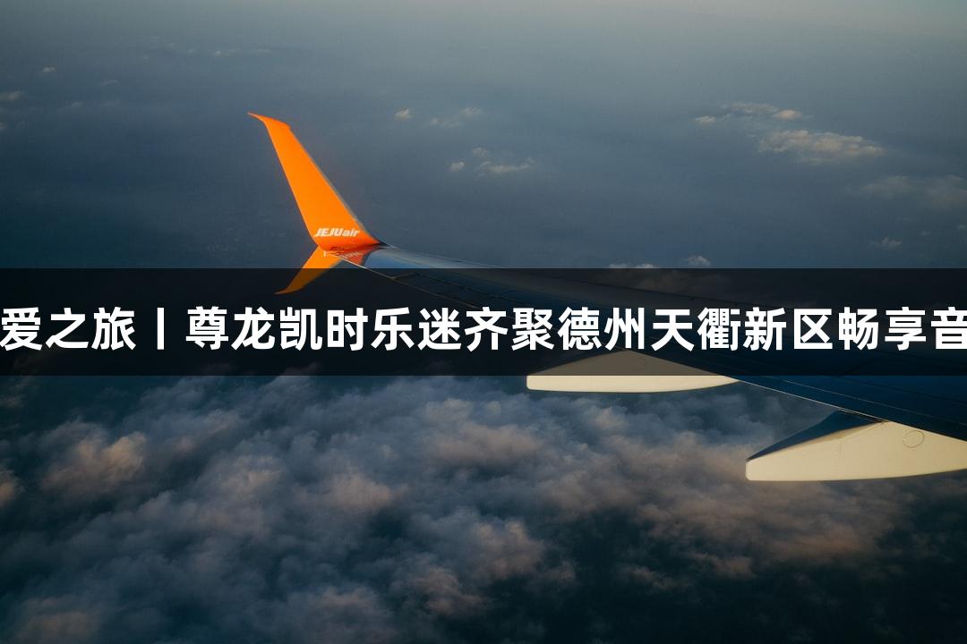 奔赴热爱之旅丨尊龙凯时乐迷齐聚德州天衢新区畅享音乐盛宴