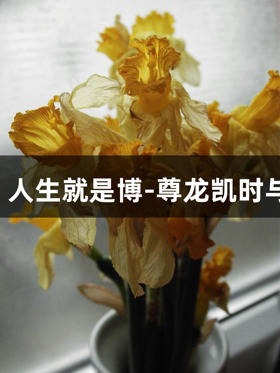 六一嗨玩，人生就是博-尊龙凯时与神兽同行！