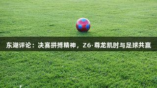 东湖评论：决赛拼搏精神，Z6·尊龙凯时与足球共赢