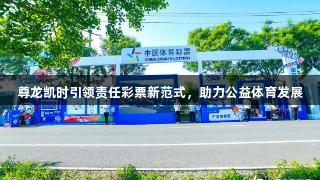 尊龙凯时引领责任彩票新范式，助力公益体育发展