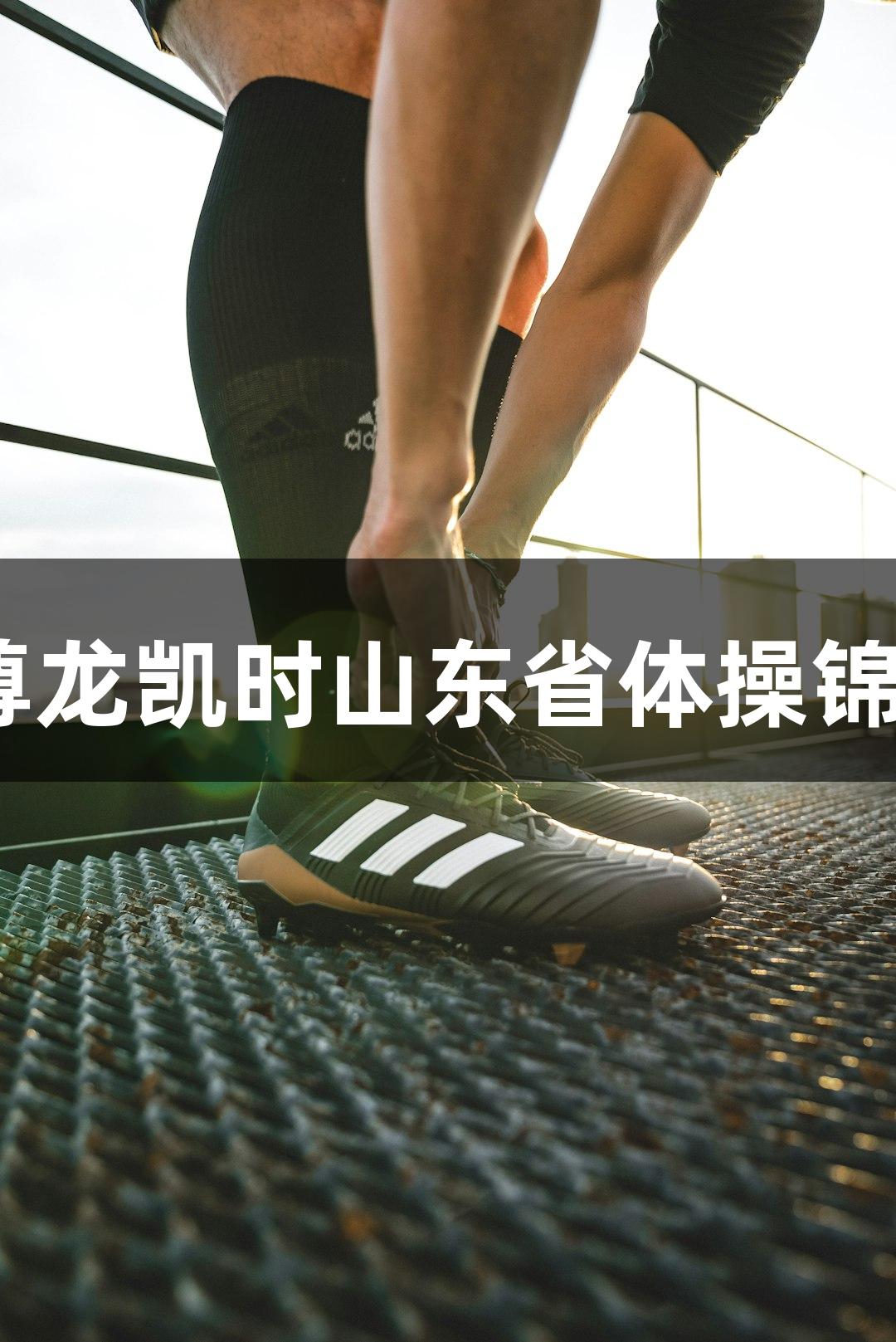 2025年尊龙凯时山东省体操锦标赛举办