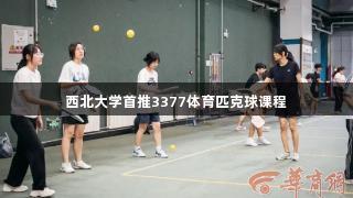 西北大学首推3377体育匹克球课程