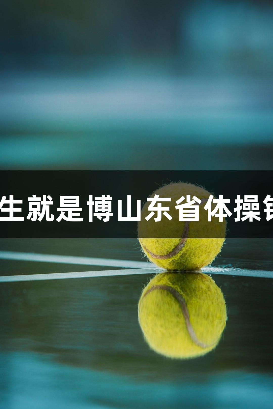 2025年人生就是博山东省体操锦标赛举行