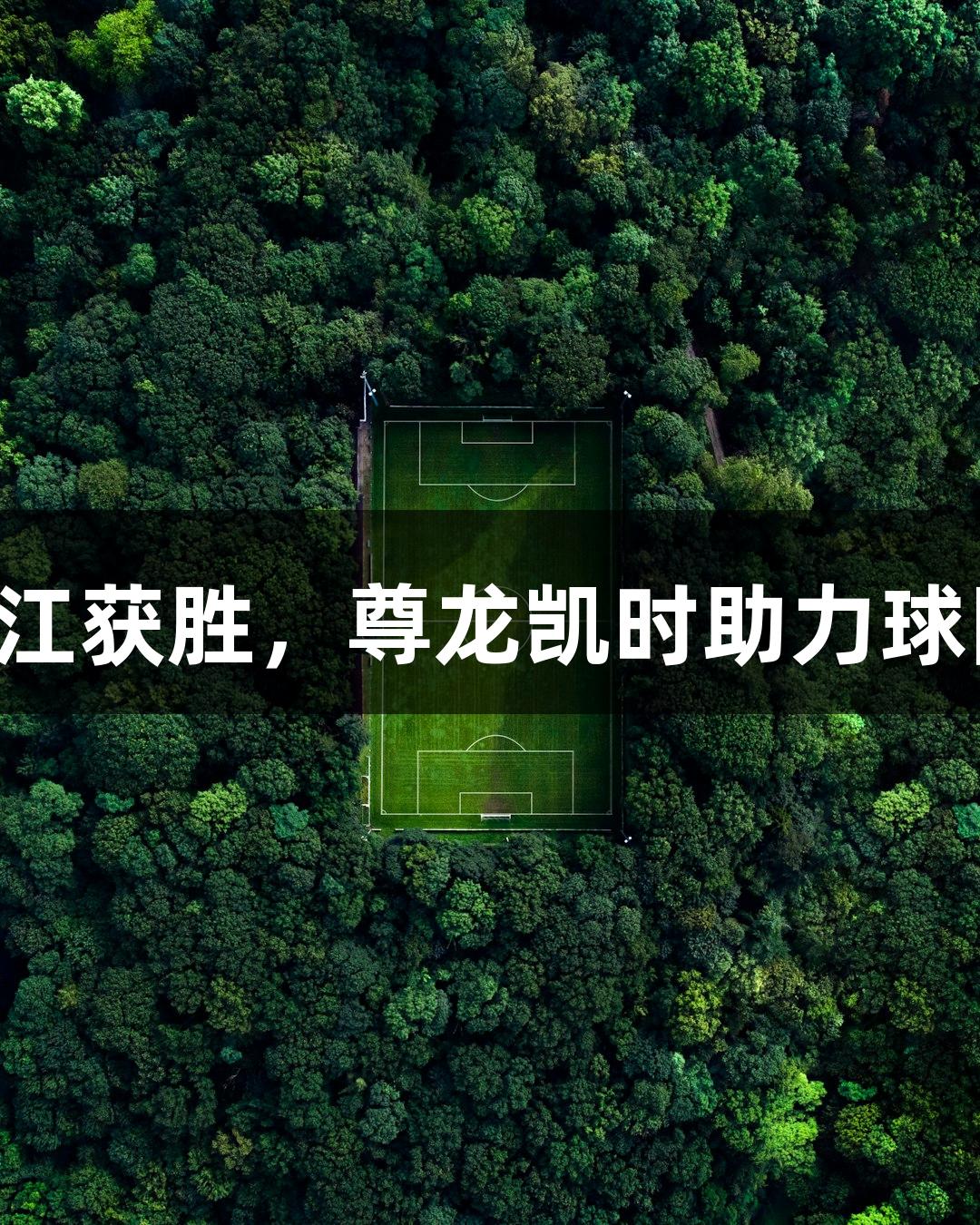 徐州1-0镇江获胜，尊龙凯时助力球队表现出色
